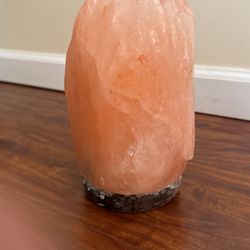 Salt Rock