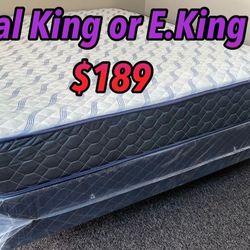 King Supreme Ortho Matres!