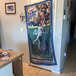 Santin Dbacks Banner 