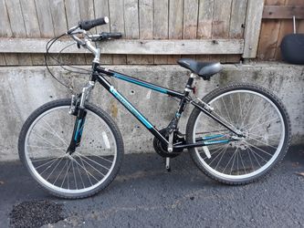 Diamondback Wildwood bike 17 inch