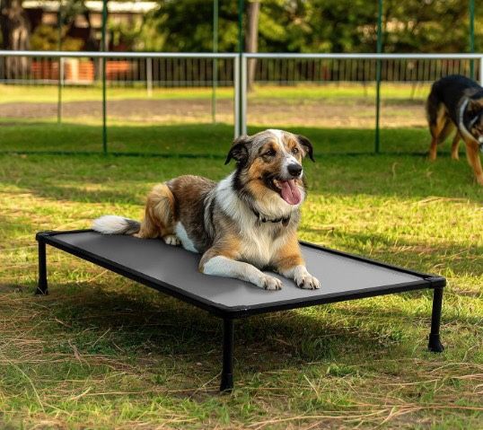 Elevated Dog Bed