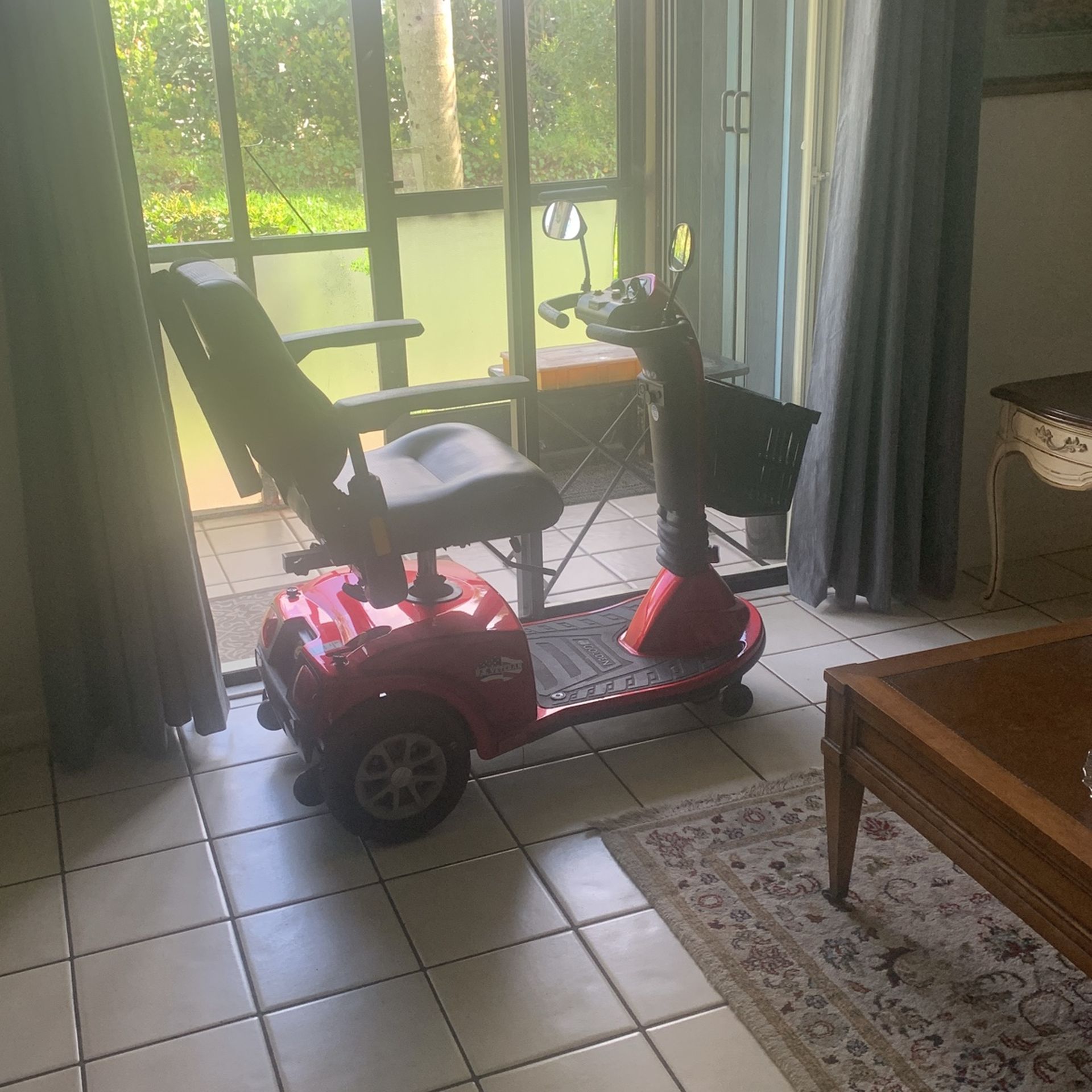 Golden Companion Electric Scooter