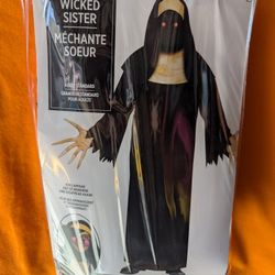 Wicked Sister Adult Costume - NEW