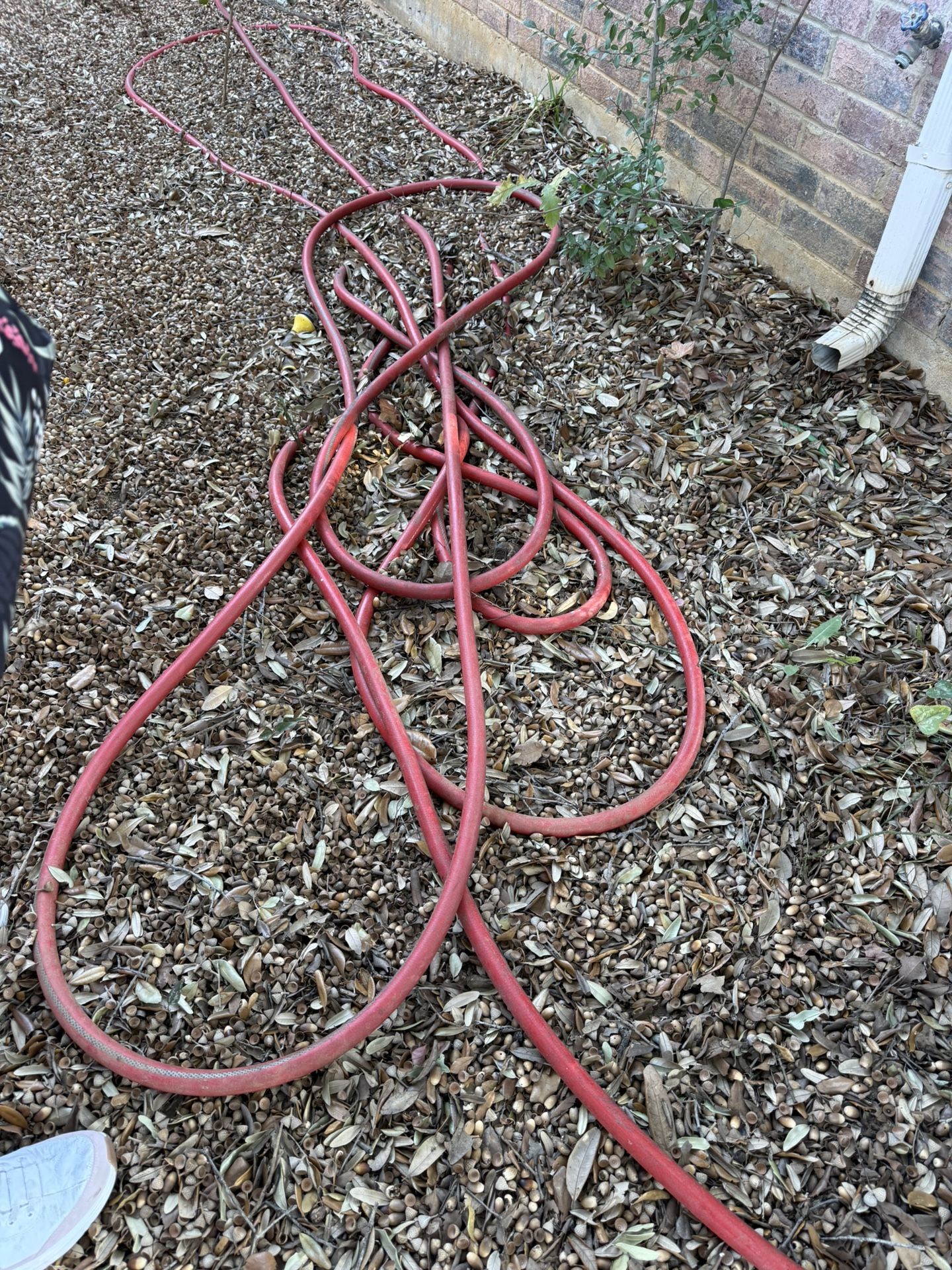 Water Hose 50’