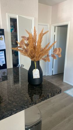 Decorative Plant