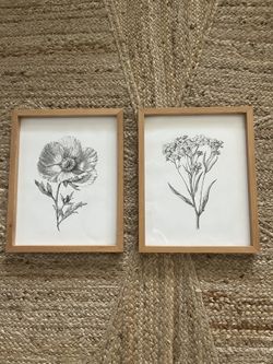 Framed Botanical Print Set 