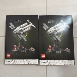 LEGO Project Hail Mary 11389