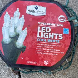 Christmas Lights 