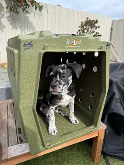 Intermediate Ruffland Kennel (Green)