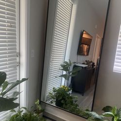 Full Length Mirror With The Box