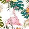 Tropical