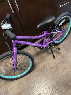 Guardian sure stop 20inch wheels small size