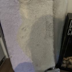 Cat Beds
