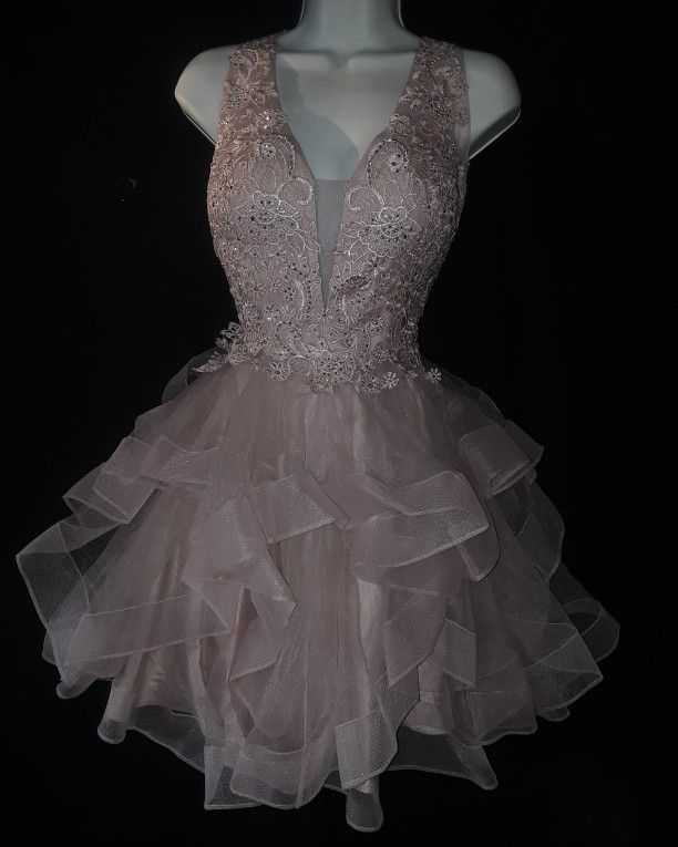 Anny Lee Quinceanera Pictures Party Dress