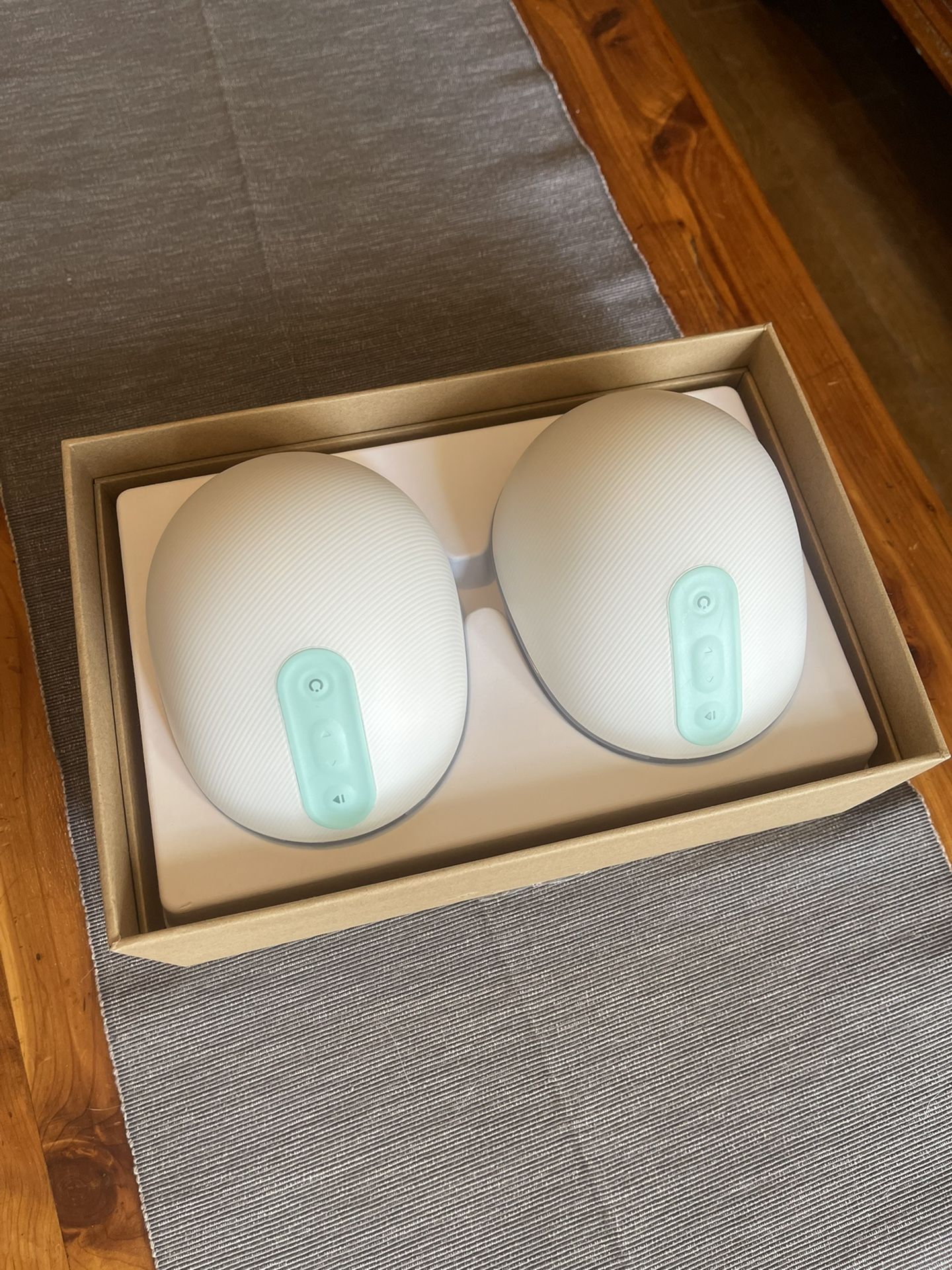 Willow Wearable Breast Pump