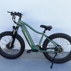 Duel Motor Fat Tire E Bike/Electric Bike