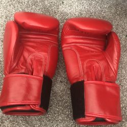 2 Boxing Gloves 