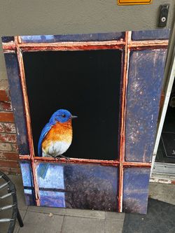 Large 49x36 Bluebird Canvas Wall Art Eastern Bluebird Window Painting Print⁠