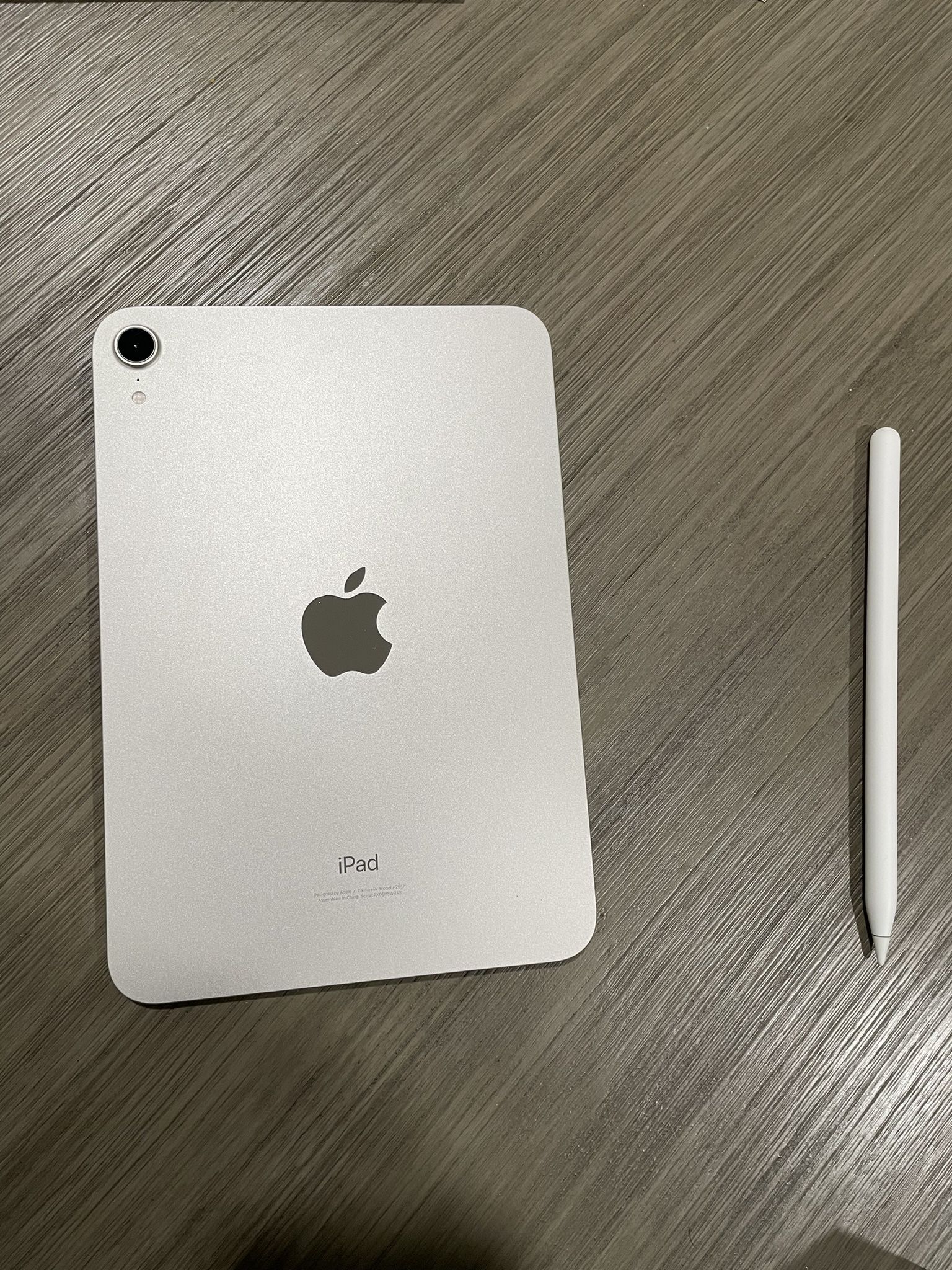 Gen 6 iPad Mini Pro