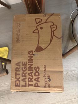 Extra large dog training pad