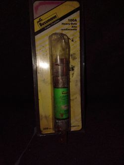 Bussmann 100A Heavy-Duty Fuse 250V