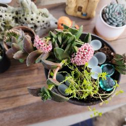 SPRINGTIME ARRANGEMENT  $10 PICK UP IN SAN LORENZO