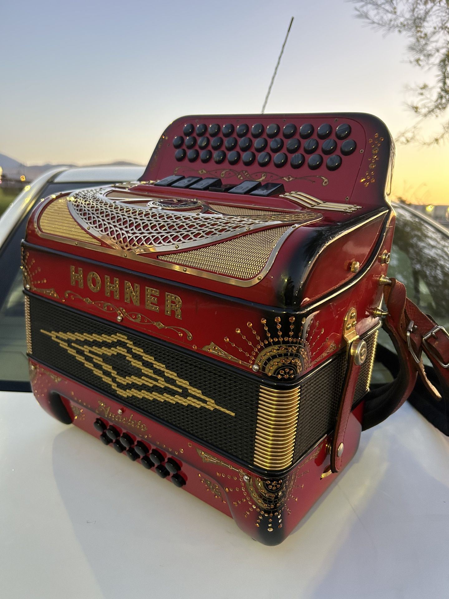 Acordeon Accordion Hohner Anacleto