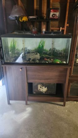 55 gal. fish tank  and 10 gal. Reptile Tank  with stand