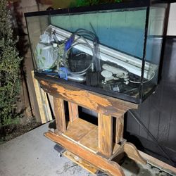 60 Aquarium With Lots Of Supplies