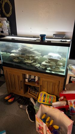 75 Gallon Fish Tank w/ Stand.