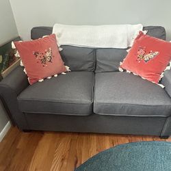 Pull Out Couch (small)