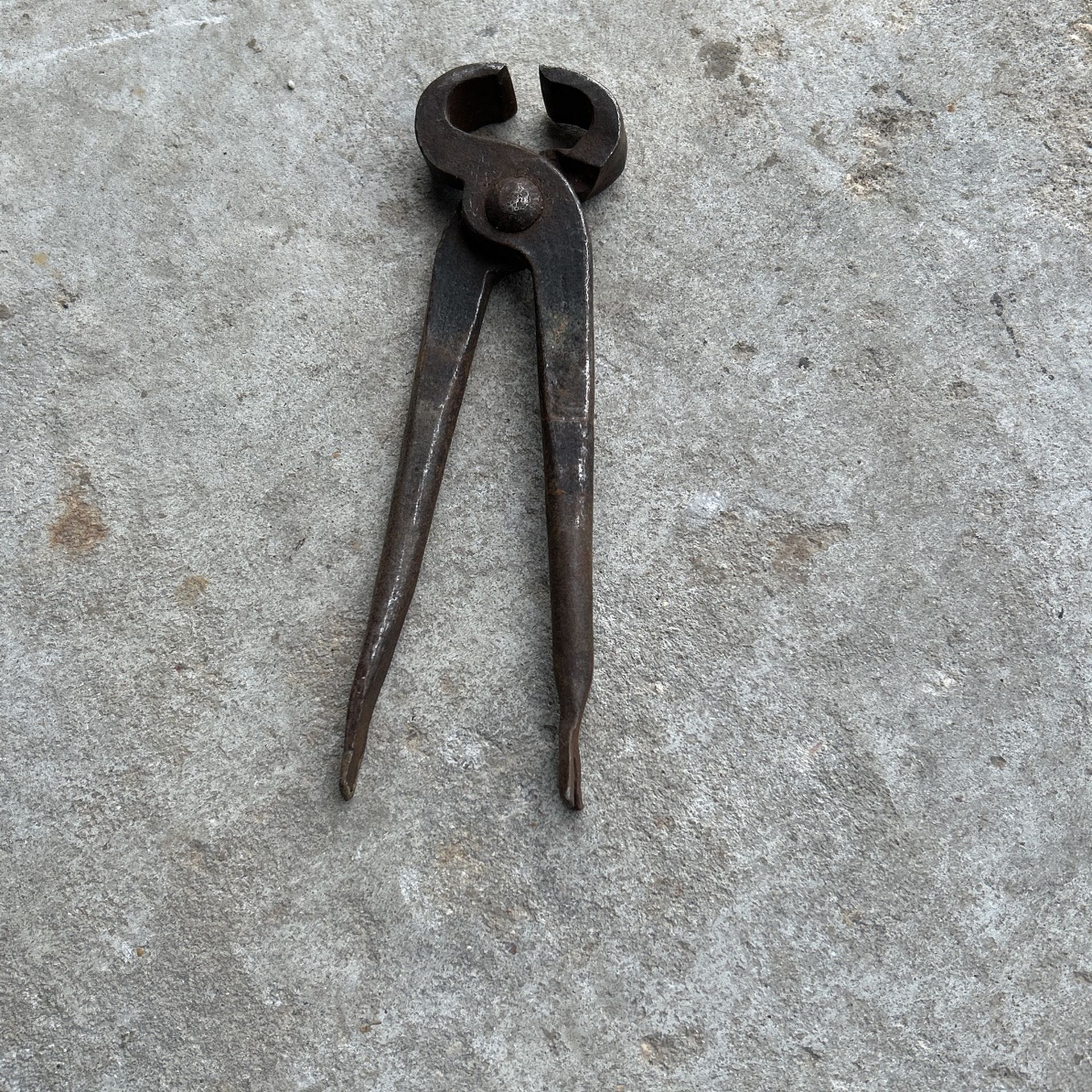 Vintage Hoof Nipper