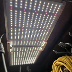 Led Light