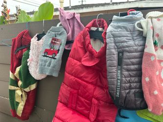 Pet Clothes, Toys & Accessories – Dog/Cat Apparel Lot
