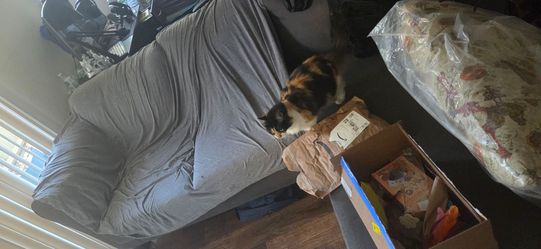 Couch