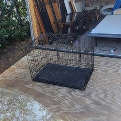 Dog cage 36x36 hi 29
