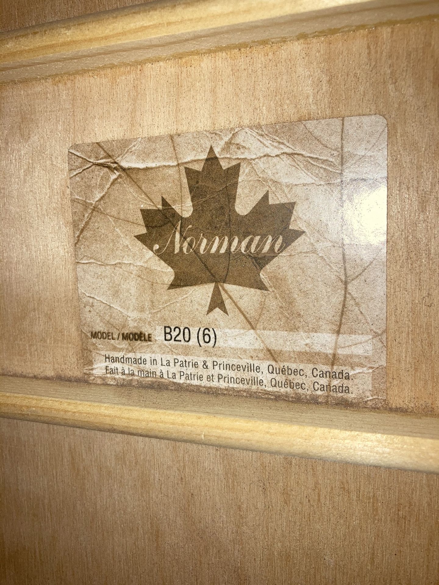 Norman B20 Acoustic Guitar