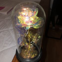 Glass Rose 
