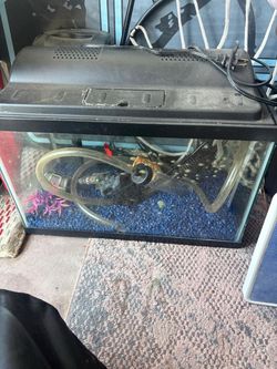 10 gallon fish tank