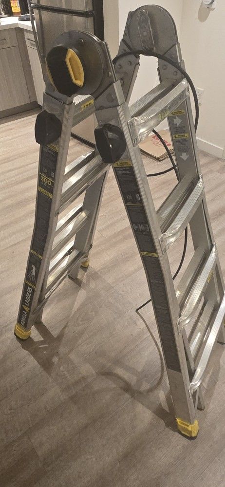 Gorilla Ladder + Python Master Lock