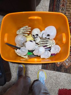 A lot of Halloween decorations. Will post all pictures, you can text or call for prices.