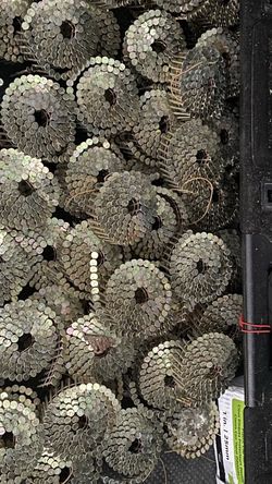 Coil Roofing Nails. Alot