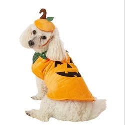 Dog HALLOWEEN Pumpkin Costume