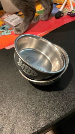 Cat bowls