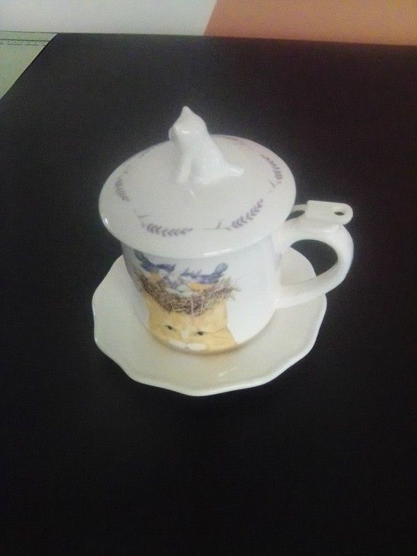 BEAUTIFUL ORANGE CAT & BLUE BIRDS CUSTOM TEA CUP