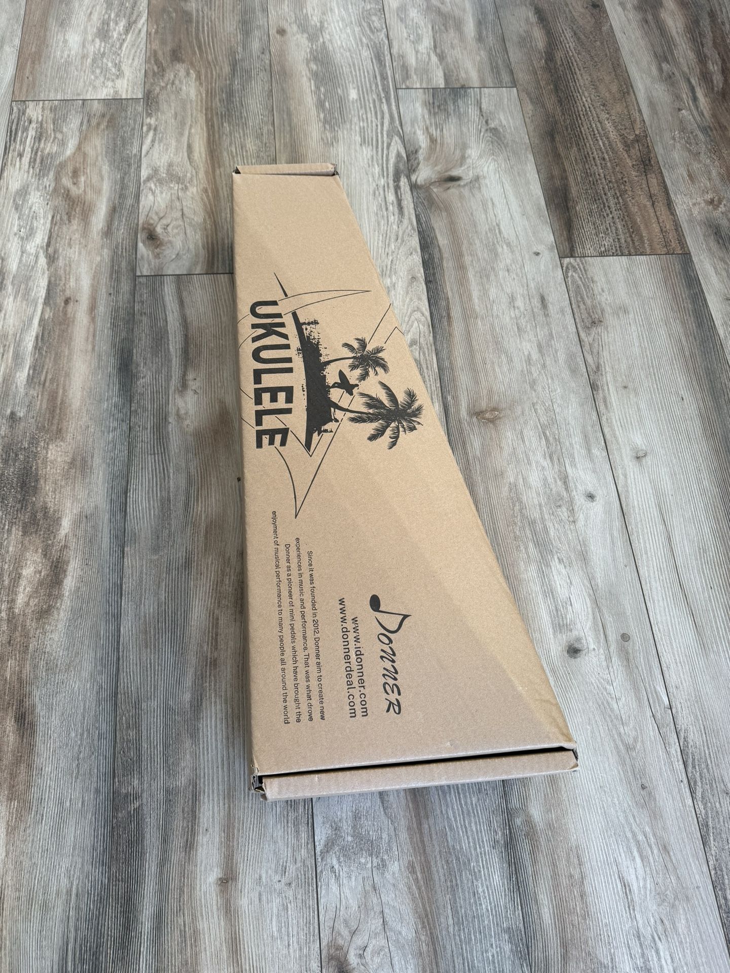 Donner Concert Ukulele Kit