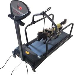 Brand New Dog Treadmill, never used, $694 Retail