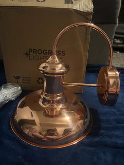 Brookside Solid Copper Outdoor Wall Light 10.75in Hardwired Dark Sky Progress Lighting