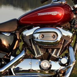 09 Harley Davidson 1200 Sportster /New/