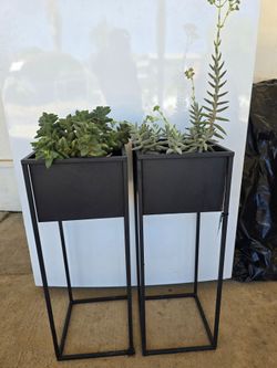 Planters stands
